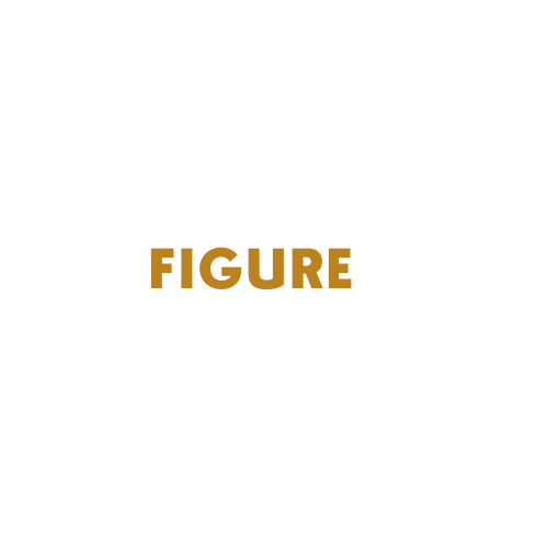 Six Figure Ceo